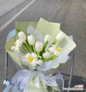 拥抱希望 白色郁金香