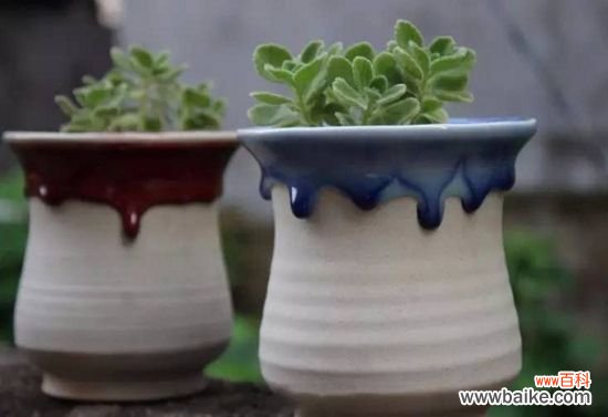 家庭养花怎样正确的选择花盆