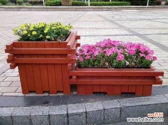 家庭养花怎样正确的选择花盆