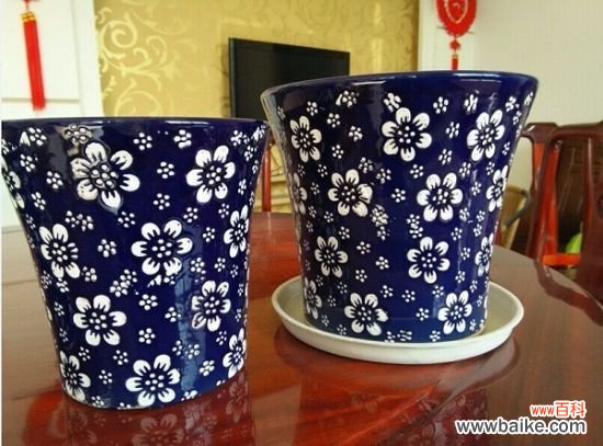 家庭养花怎样正确的选择花盆