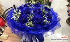 探索蓝玫瑰背后的文化内涵 十一朵蓝玫瑰的寓意和象征