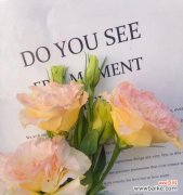 探索桔梗的神秘语言，了解不同颜色的含义 桔梗花语，缤纷色彩的寓意