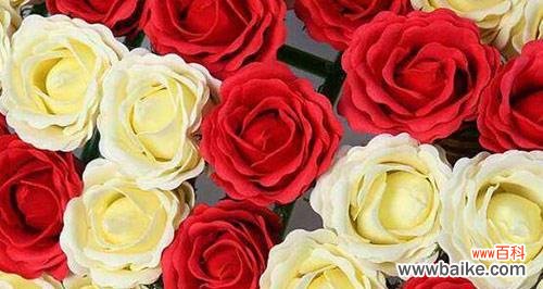 探究玫瑰花的情感内涵及文化价值 玫瑰花语的深刻寓意