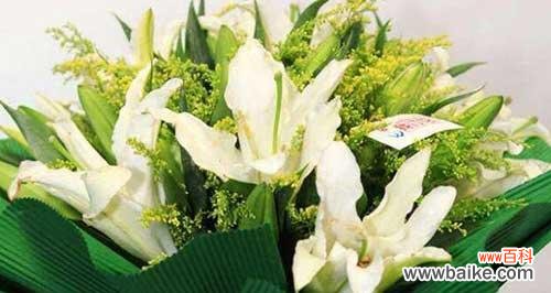 圣诞百合的象征意义与传统庆祝活动 圣诞百合