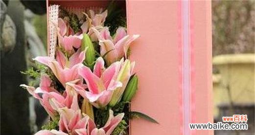 百合花语解读及其象征意义 百合花语