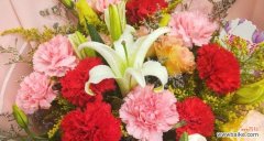 用鲜花表达情感 送花康乃馨的寓意