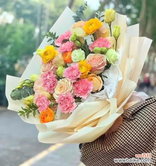 爱与感激的表达 康乃馨送女生的含义