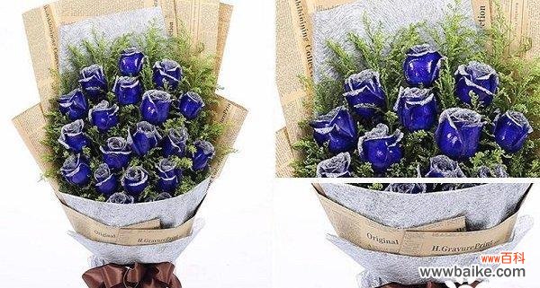 探究蓝色妖姬在文化中的象征意义 蓝色妖姬的隐秘含义