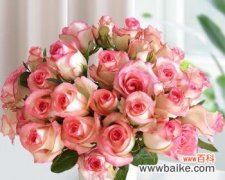 百合花与玫瑰花的搭配 百合与玫瑰的花语相融，传达爱情与美好