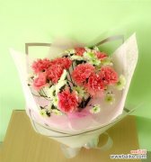 11朵康乃馨代表的含义与传达的信息 康乃馨的花语及象征意义