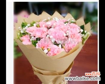 11朵康乃馨代表的含义与传达的信息 康乃馨的花语及象征意义