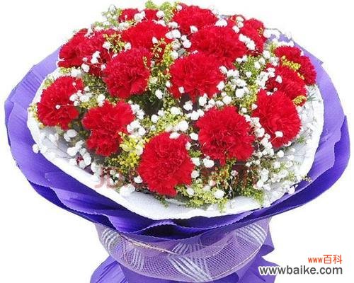 11朵康乃馨代表的含义与传达的信息 康乃馨的花语及象征意义