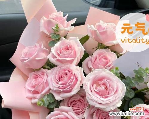 用花语传递爱意的粉色玫瑰 粉色玫瑰的花语之美