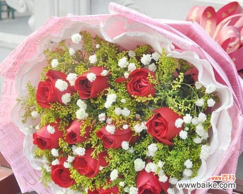 探寻玫瑰花的深层内涵 11朵玫瑰的寓意与象征——美丽、爱情与祝福