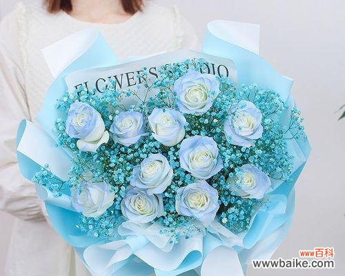 探索爱情与永恒的真谛 11朵玫瑰花的深刻寓意