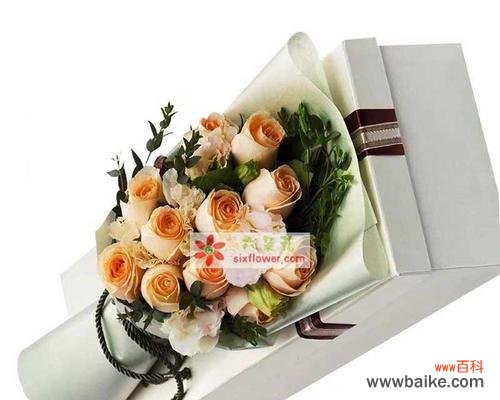 11朵香槟玫瑰 香槟玫瑰花语