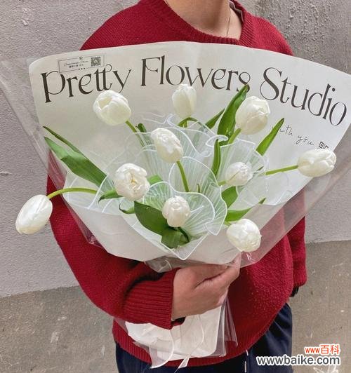 传递美好的祝福——以白色郁金香为例 探寻白色郁金香的花语