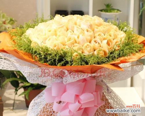 探究玫瑰花代表的不同情感和寓意 13朵玫瑰花的含义和象征