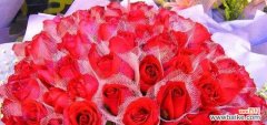 传递爱意与祝福的象征 12朵玫瑰花的花语