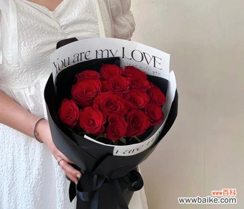 探寻玫瑰花背后的意义和象征 15朵玫瑰花的含义