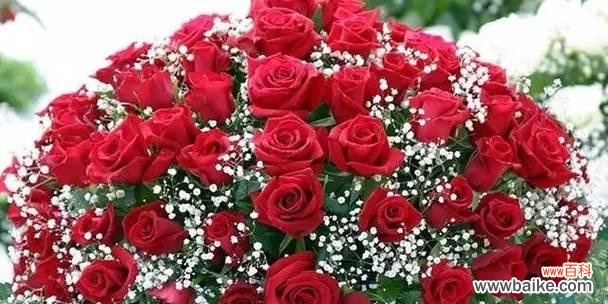 16朵玫瑰的花语和象征意义 玫瑰的花语之深情厚意