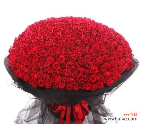 17朵玫瑰 玫瑰花语之浪漫情愫