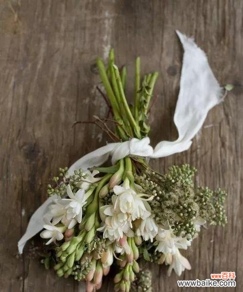 揭示晚香玉的文化内涵 晚香玉花语的意义与象征