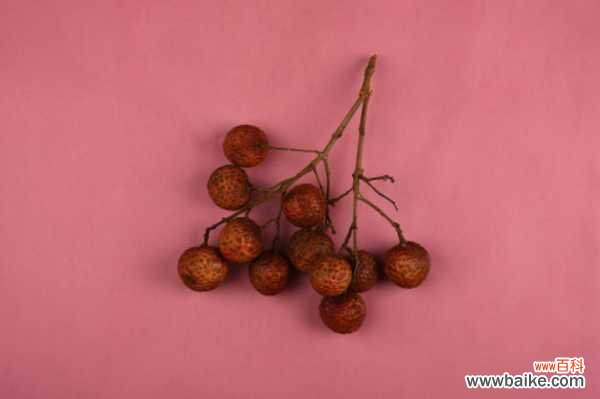 荔枝树叶子黄了怎么补救