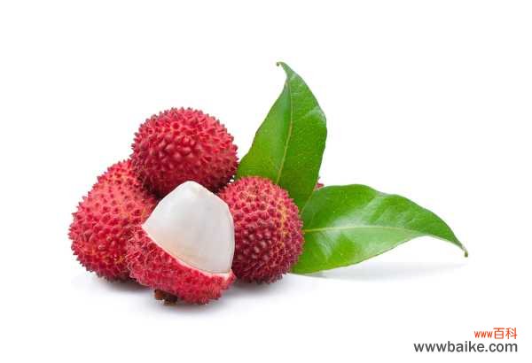 荔枝树叶子黄了怎么补救