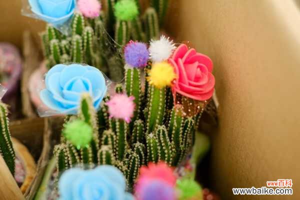 万重山烂根怎么办