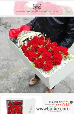 用花语传递情感 19朵康乃馨的寓意与象征