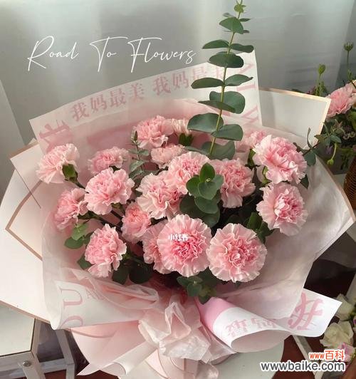 用花语传递情感 19朵康乃馨的寓意与象征