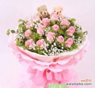 花语传递的浪漫与深情 粉玫瑰的19种象征意义