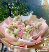 解读粉玫瑰花的19种意义 19朵粉玫瑰花的神秘象征