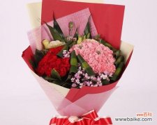 用花语讲述爱情的故事 康乃馨之爱-探寻19朵康乃馨的花语