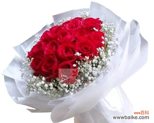 探索玫瑰数量的隐含含义与情感表达 19朵玫瑰的意义与象征