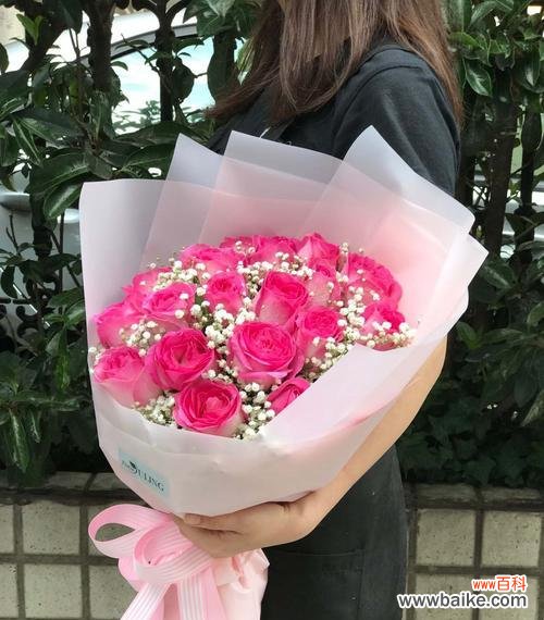 玫瑰花语解读与传承 花语之谜