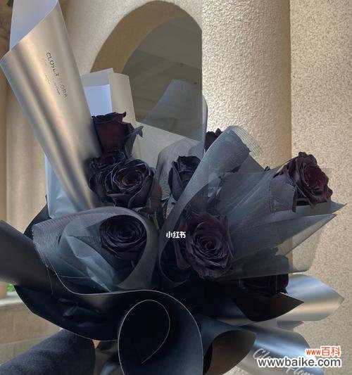 送给谁？表达什么？ 黑玫瑰花语的深刻含义