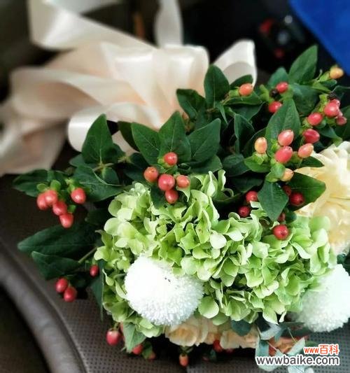 传递爱情的代表，唤醒情感的使者 红豆花的花语