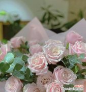 解析19朵粉玫瑰的象征意义 19朵粉玫瑰代表的含义