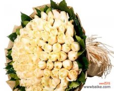 花语、寓意和传说 探寻香槟玫瑰的深层含义