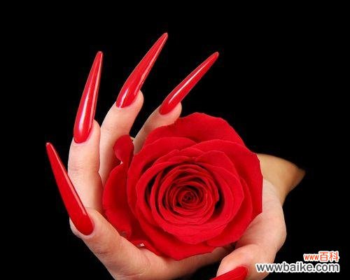 探寻玫瑰花背后的情感世界 不同颜色玫瑰花的花语与意义