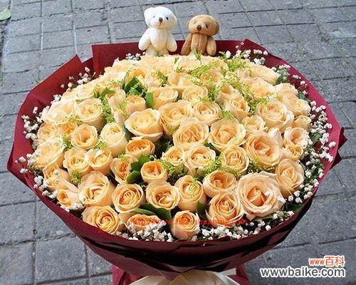 传递爱与美的19朵香槟色玫瑰 香槟色玫瑰花语的意义与传承