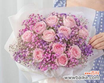 19支玫瑰花的寓意和用途 玫瑰花的含义及象征意义