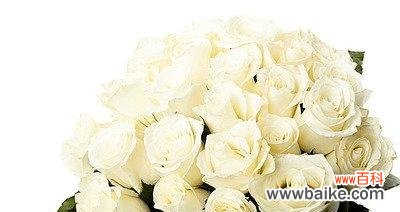 用花语编织美好未来的约定 23朵玫瑰花语-爱的承诺