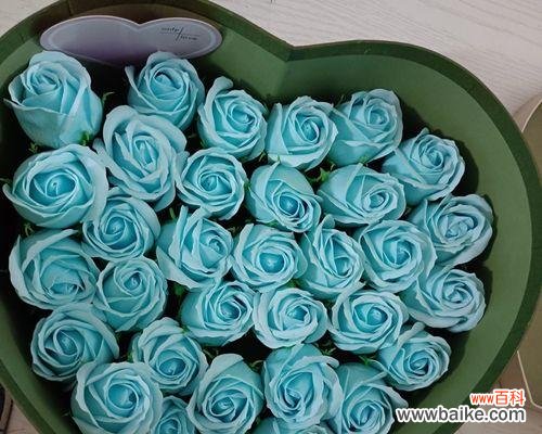 玫瑰花语及其影响力 24朵玫瑰的象征意义