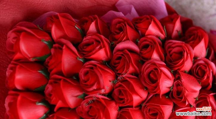 解读玫瑰花语的情感编码与象征意义 玫瑰花语