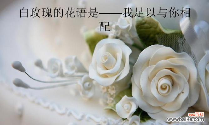 浪漫花语中的深情表达 25朵玫瑰花语