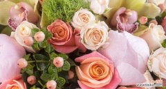 表达爱意的象征 29朵玫瑰的含义——爱的承诺