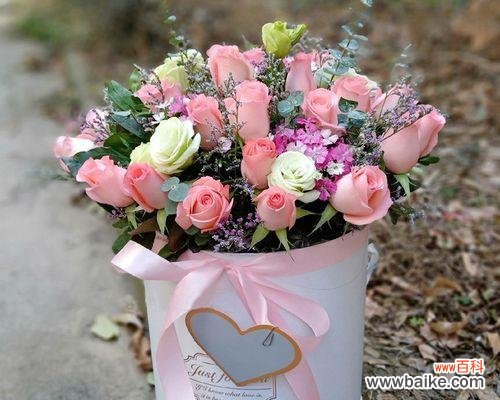 探秘19朵粉玫瑰花的情感价值 19朵粉玫瑰花的深刻寓意